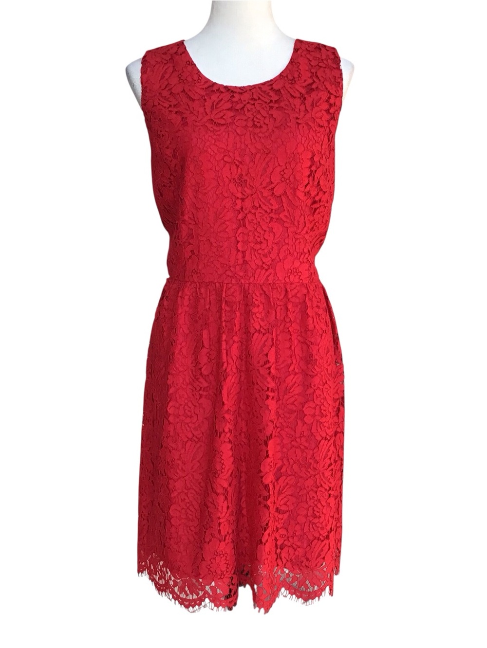 Loft Outlet Red Lace Sleeveless Sheath Dress Size 14